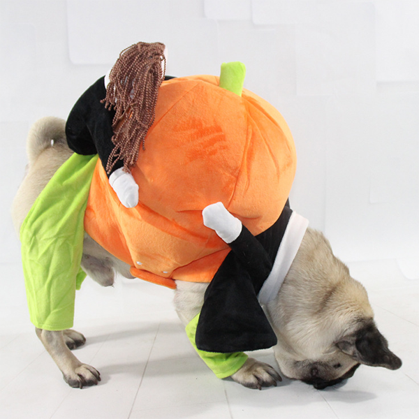 Lighteme Pet Halloween costumes (5 sizes)