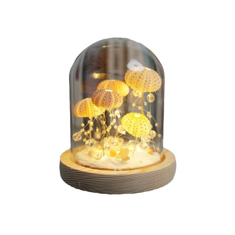 Veilleuse oursin DIY Lighteme