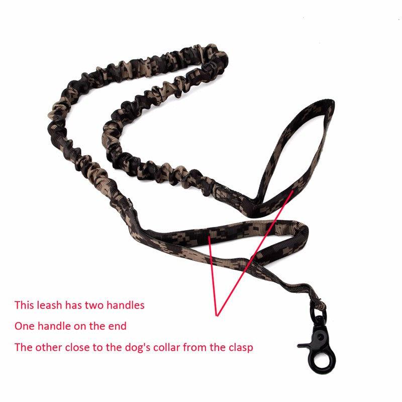 Laisse de dressage militaire tactique Lighteme pour chien