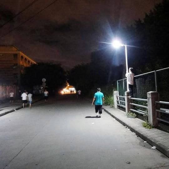 Lighteme 10 Watt Solar Street Light