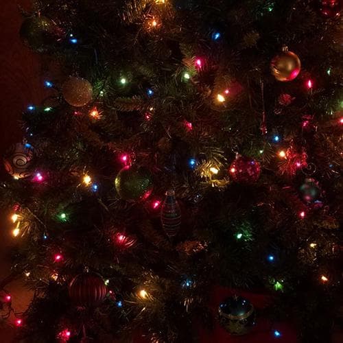 Lighteme Multi-Color LED Solar Christmas Light String