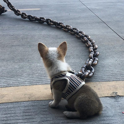 Lighteme Lustiges großes Hundehalsband
