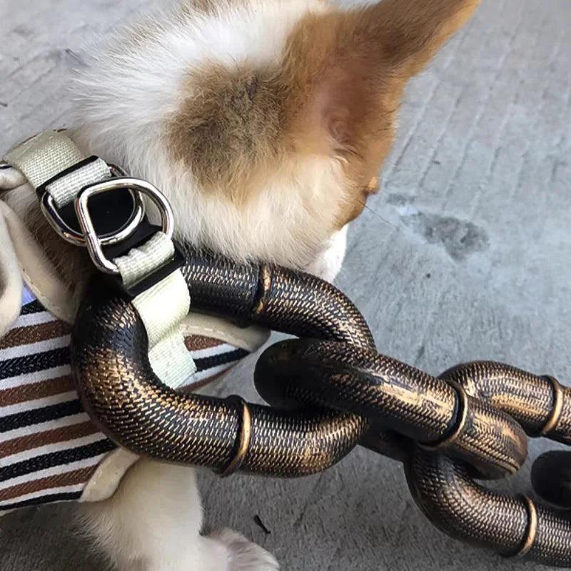 Lighteme Lustiges großes Hundehalsband