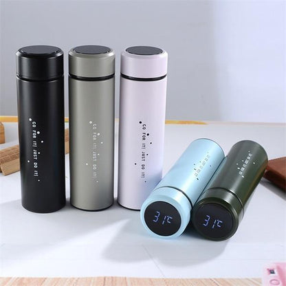 Lighteme LED Temperature Display Water Bottle (5 colors)