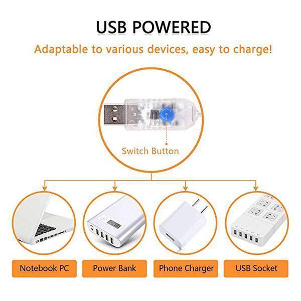 Lighteme Usb With Remote Control Light String (4 colors & 4 types)