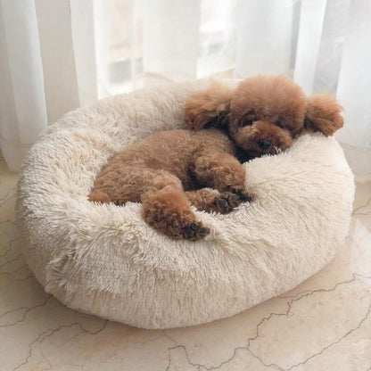 Lighteme Serene Comfort Dog Bed for Restful Sleep