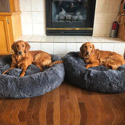 Lighteme Serene Comfort Dog Bed for Restful Sleep