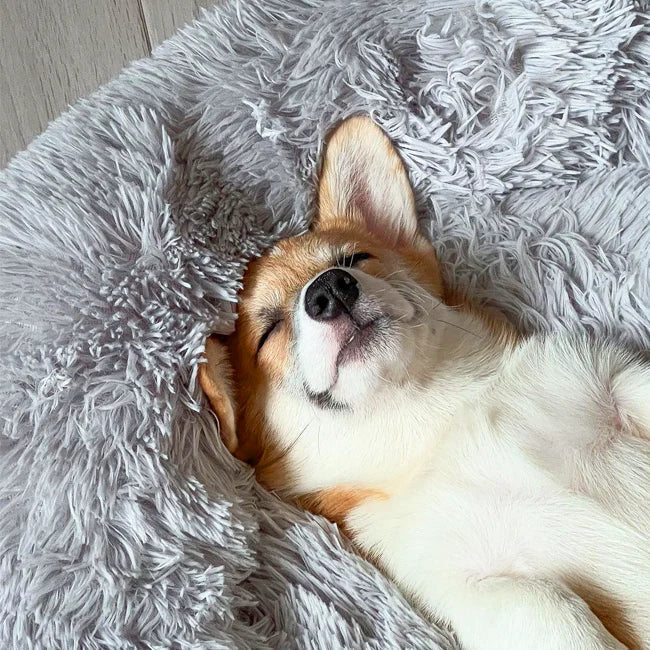 Lighteme Serene Comfort Dog Bed for Restful Sleep