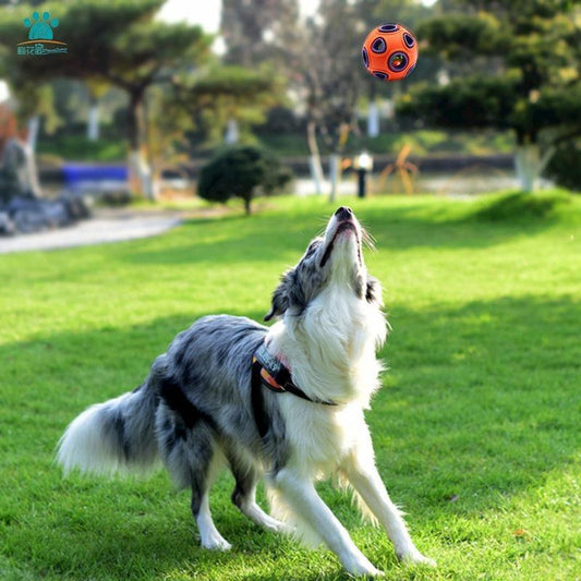 Lighteme Hundespielzeug Beißball Hüpfball (2 Farben, 2 Größen, 3 Ausführungen)