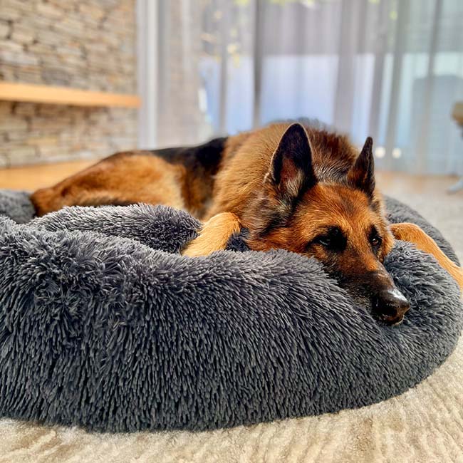 Lighteme Serene Comfort Dog Bed for Restful Sleep