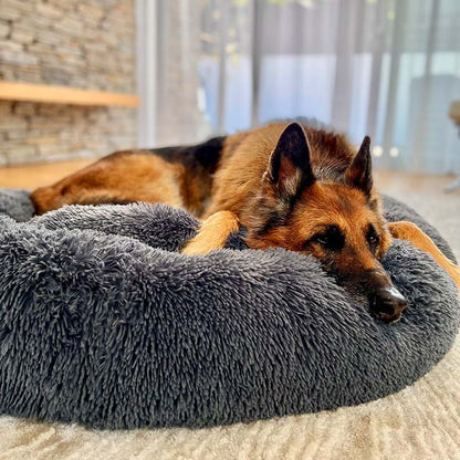 Lighteme Serene Comfort Dog Bed for Restful Sleep