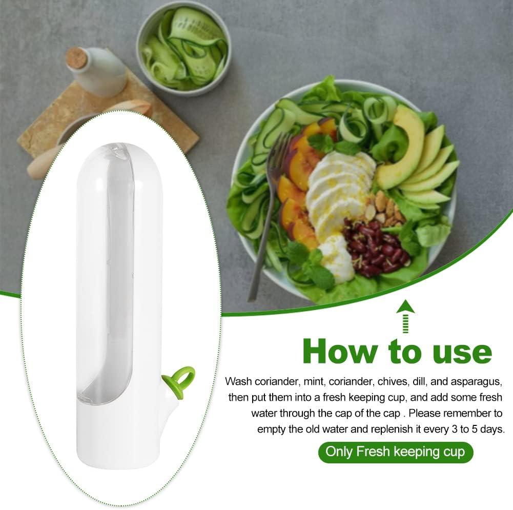 Contenants de conservation pour légumes et herbes aromatiques Lighteme pour préserver la fraîcheur | ACHETEZ-EN 1, OBTENEZ-EN 1 GRATUITEMENT (2 PIÈCES)