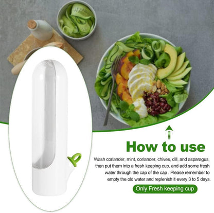 Contenants de conservation pour légumes et herbes aromatiques Lighteme pour préserver la fraîcheur | ACHETEZ-EN 1, OBTENEZ-EN 1 GRATUITEMENT (2 PIÈCES)