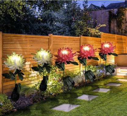 Lighteme Chrysanthemum Solar-Gartenstecker LED