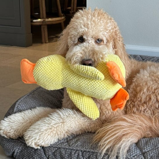Lighteme Durable Duck Dog Toy for High-Energy Chewers