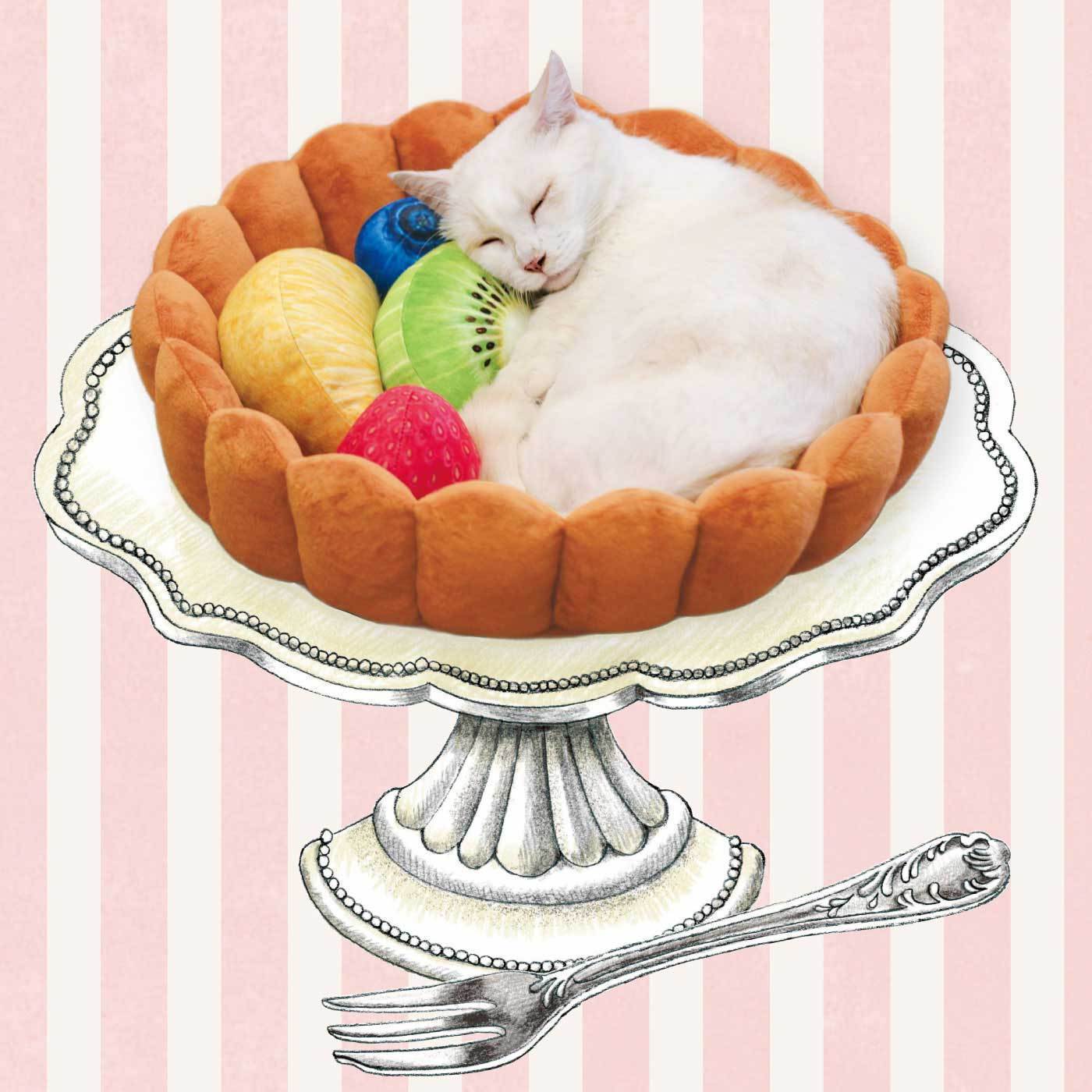 Lit tarte aux fruits Lighteme pour chat