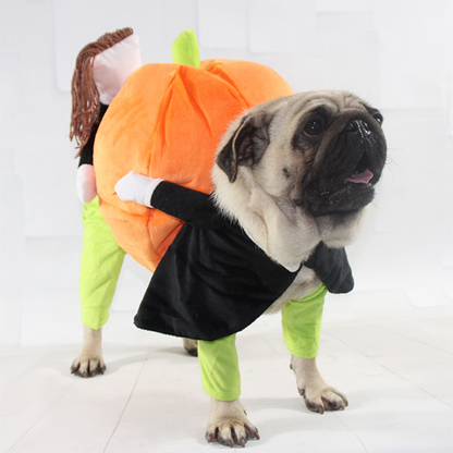 Lighteme Pet Halloween costumes (5 sizes)