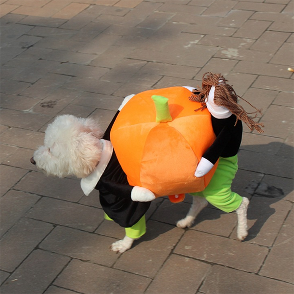 Lighteme Pet Halloween costumes (5 sizes)