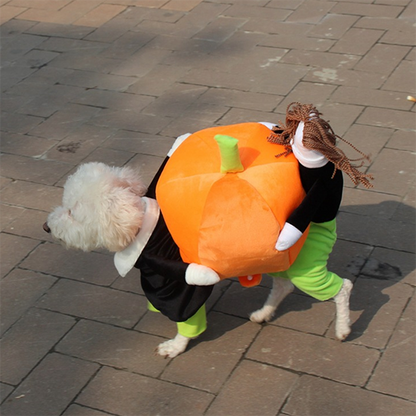 Lighteme Pet Halloween costumes (5 sizes)
