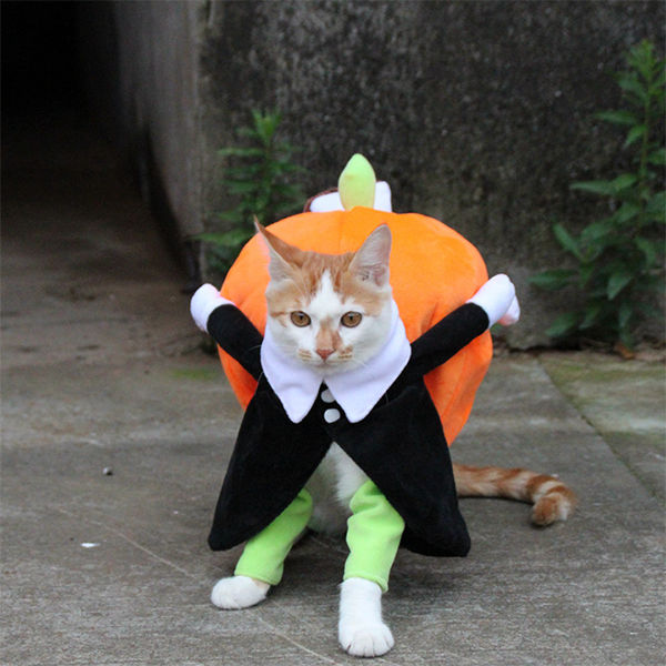 Lighteme Pet Halloween costumes (5 sizes)