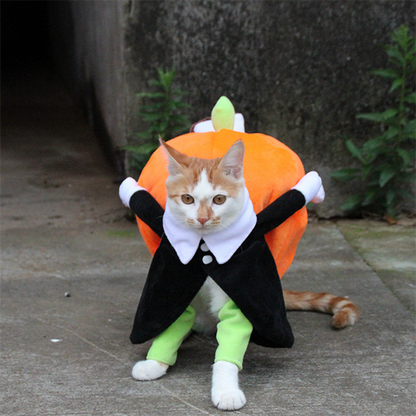 Lighteme Pet Halloween costumes (5 sizes)