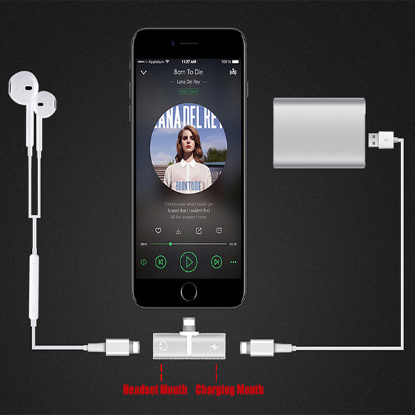 Lighteme Lightning Adapter For iPhone (5 colors)