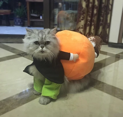 Lighteme Dog Pumpkin Halloween Costume (2 types & 4 sizes)