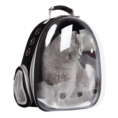 Lighteme Clear Cat Carrier Backpack "Catpack" (6 Colors)