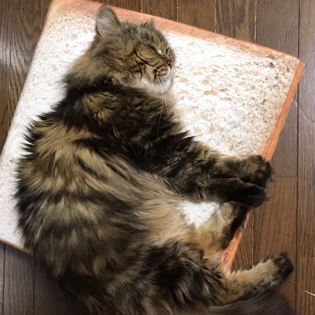 Lighteme Cute & Funny Toast Mat