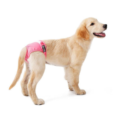 Lighteme 2PCS Machine Washable Dog Physiological Pants (3 Colors & 5 Size)