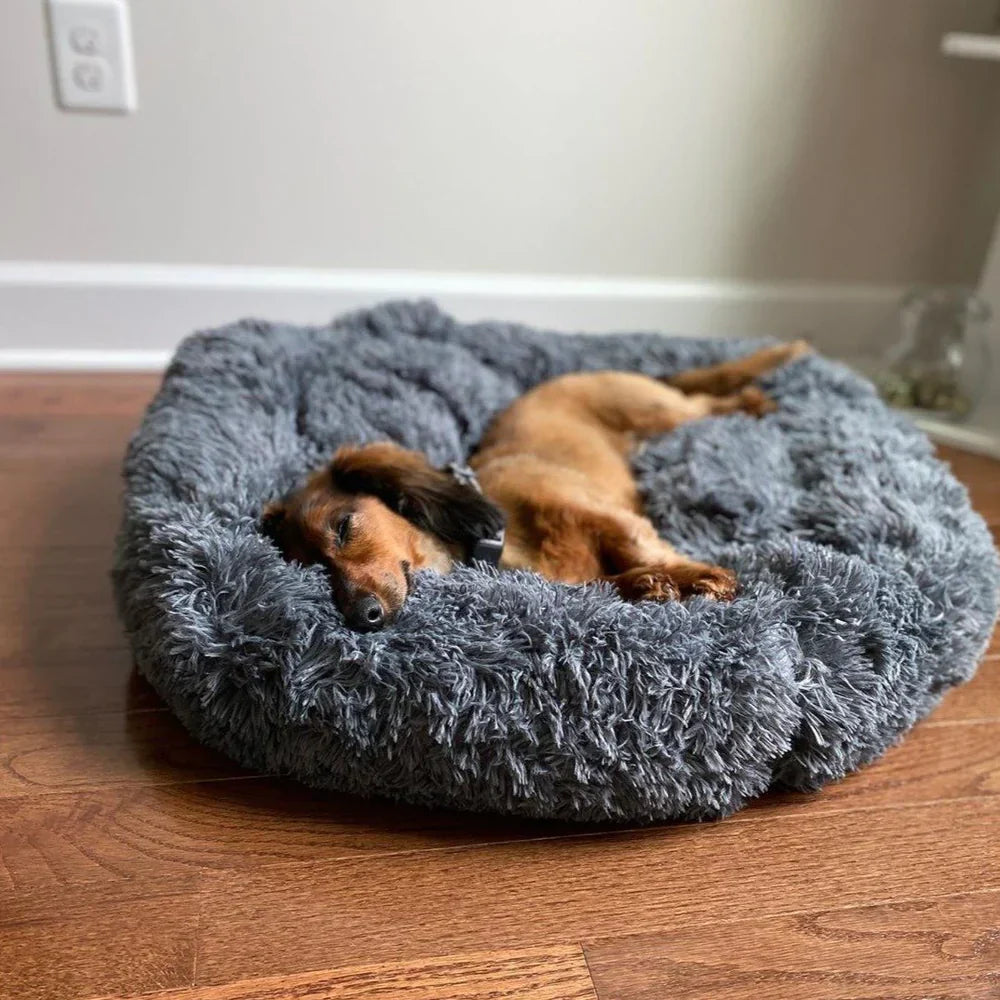 Lighteme Serene Comfort Dog Bed for Restful Sleep