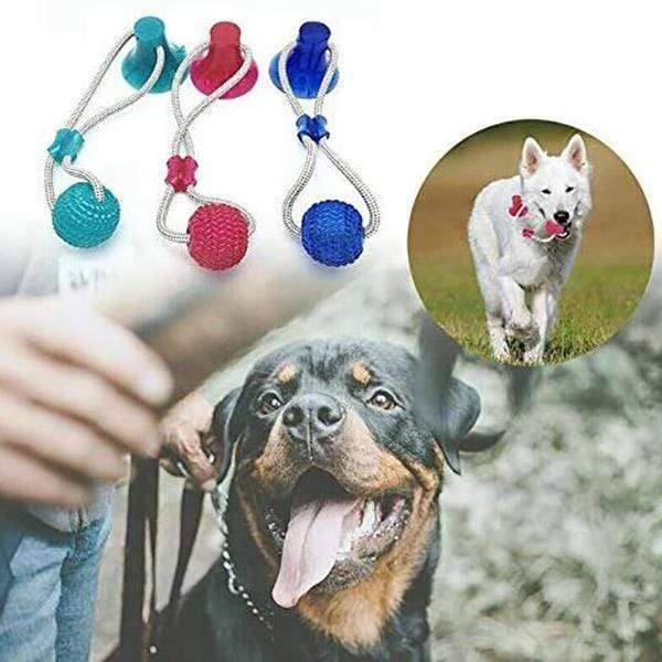 Lighteme Multifunction Pet Molar Toy (3 colors)