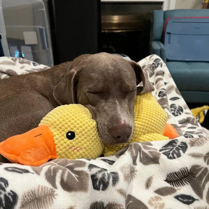 Lighteme Durable Duck Dog Toy for High-Energy Chewers