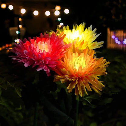 Lighteme Chrysanthemum Solar-Gartenstecker LED