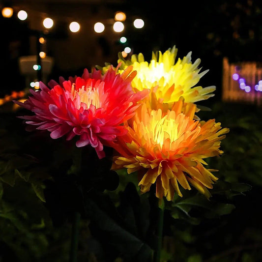 Lighteme Chrysanthemum Solar-Gartenstecker LED