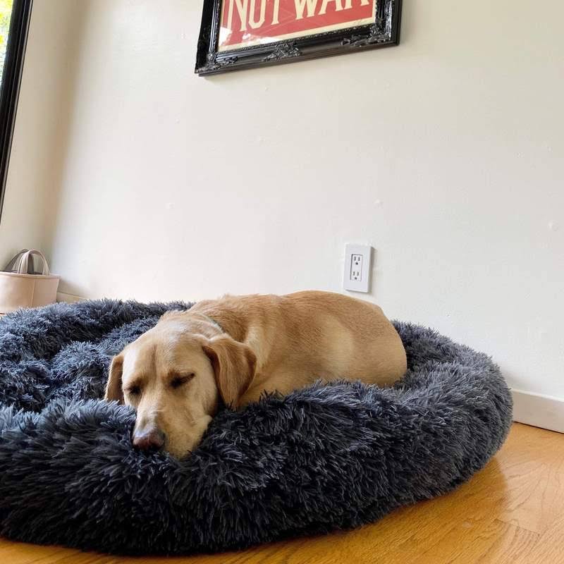 Lighteme Serene Comfort Dog Bed for Restful Sleep