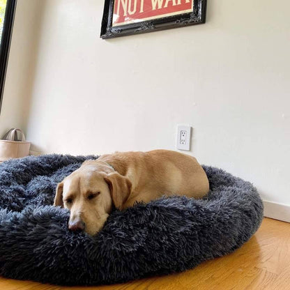 Lighteme Serene Comfort Dog Bed for Restful Sleep