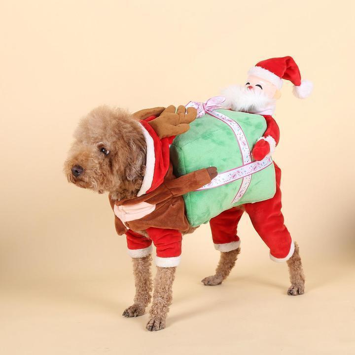 Lighteme Dog Pumpkin Halloween Costume (2 types & 4 sizes)