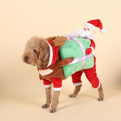 Lighteme Dog Pumpkin Halloween Costume (2 types & 4 sizes)