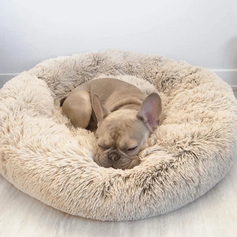 Lighteme Serene Comfort Dog Bed for Restful Sleep