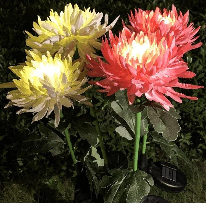 Lighteme Chrysanthemum Solar-Gartenstecker LED