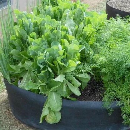 Lighteme Easy Garden Hochbeet aus Stoff