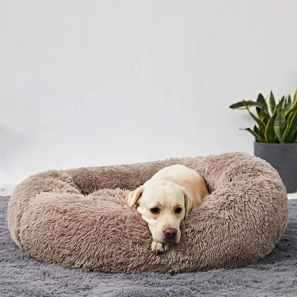 Lighteme Serene Comfort Dog Bed for Restful Sleep