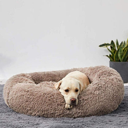 Lighteme Serene Comfort Dog Bed for Restful Sleep
