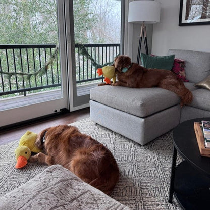 Lighteme Durable Duck Dog Toy for High-Energy Chewers