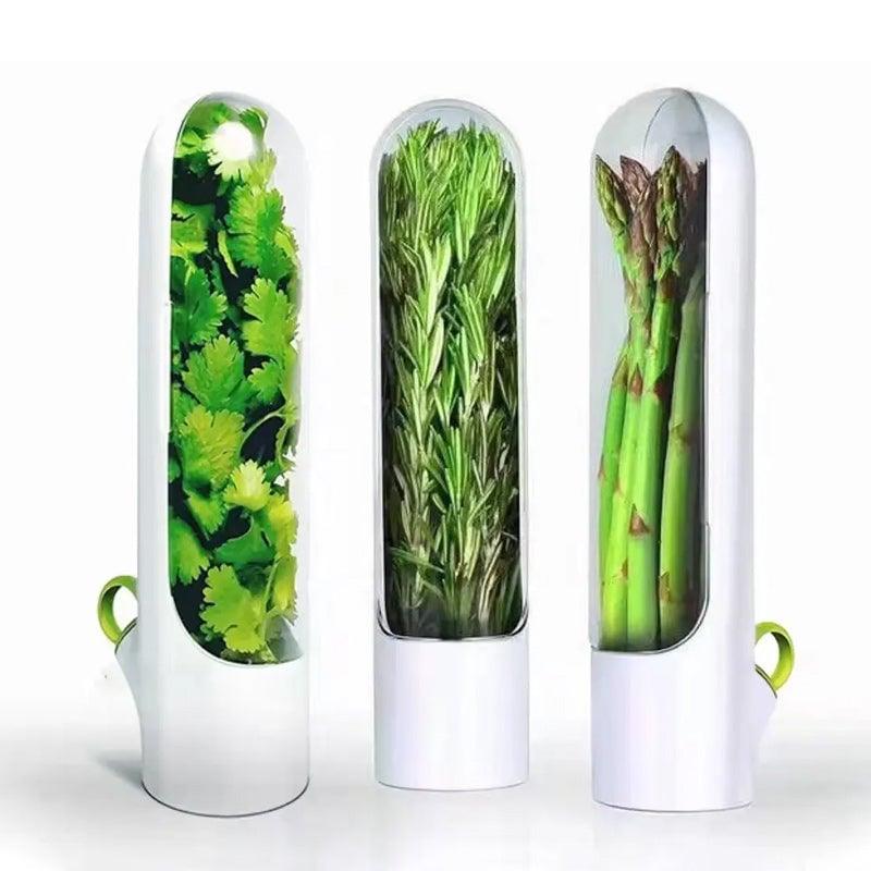 Contenants de conservation pour légumes et herbes aromatiques Lighteme pour préserver la fraîcheur | ACHETEZ-EN 1, OBTENEZ-EN 1 GRATUITEMENT (2 PIÈCES)
