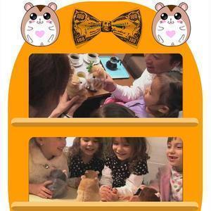 Lighteme Cheeky Hamster (6 types)