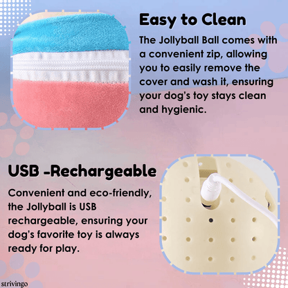 Lighteme Bouncing Ball Dog Toy