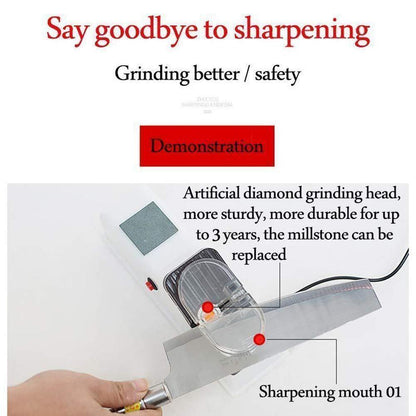 Lighteme Professional Electric Knife Sharpener