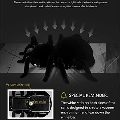 Ihrtrade Halloween Remote Control Spider (2 colors)